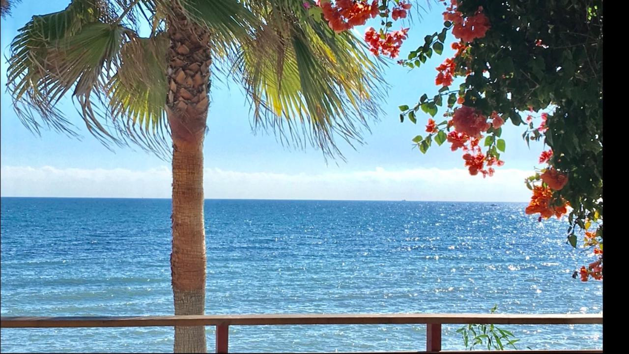 Mijas Costa - Beachside Apartment-B Sitio de Calahonda Bagian luar foto